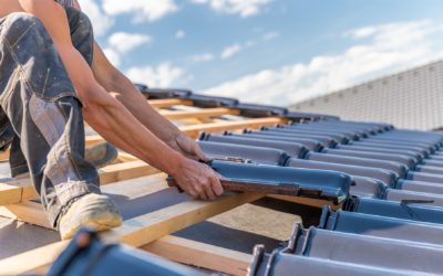Démoussage de toiture en zinc à Sarreguemines : un entretien efficace pour votre toiture